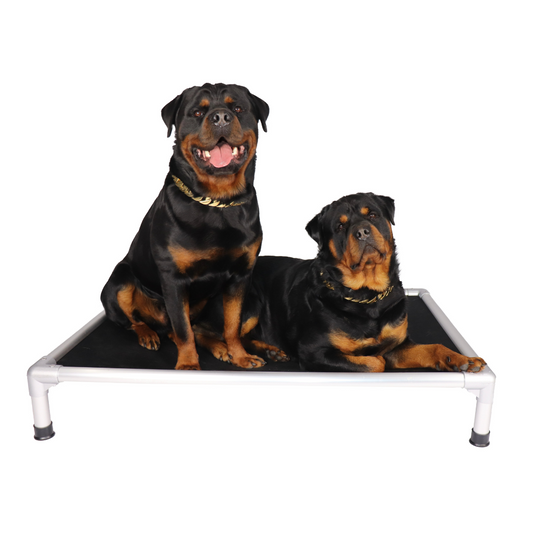 Strong aluminium frame with black insert material dog bed