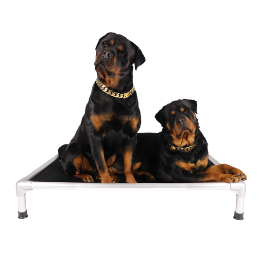 strong and durable aluminium frame pet bed / dog bed